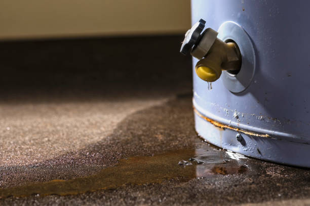 Best Water damage restoration insurance claims  in St John, MO