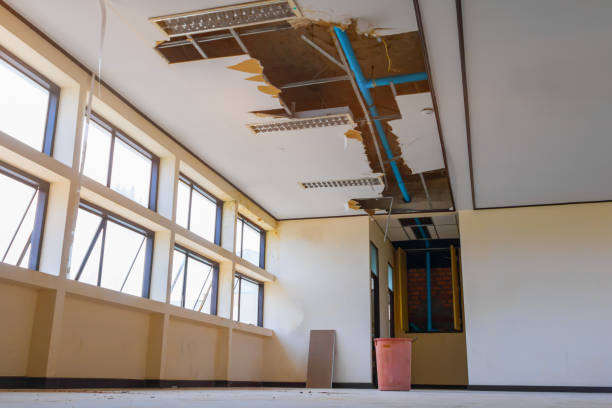 Best Water damage restoration process  in St John, MO