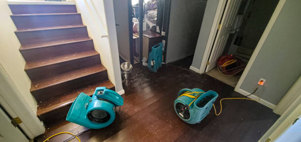 Best Water damage restoration near me  in St John, MO