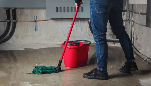 Best Flood damage cleanup  in St John, MO