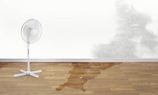 Best Ceiling water damage repair  in St John, MO
