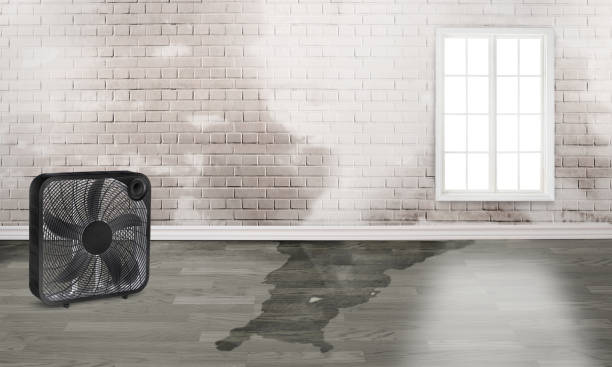  St John, MO Water damage restoration Pros
