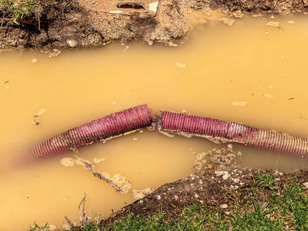 Best Water damage restoration specialists  in St John, MO