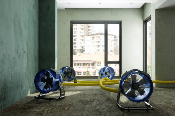 Best Water damage restoration mold remediation  in St John, MO